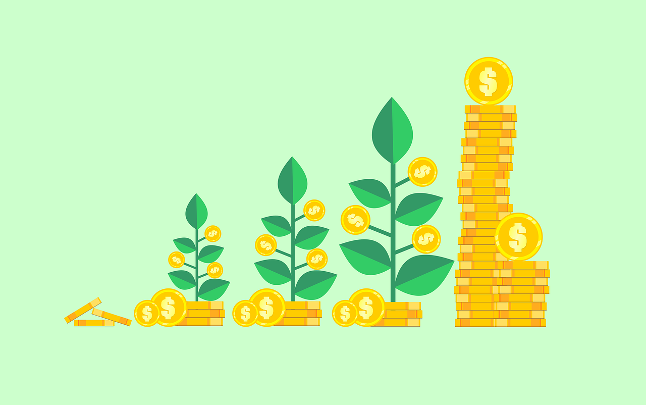 Crecimiento del capital