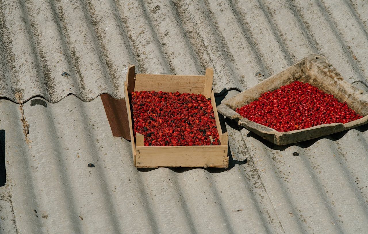 Alimentos al sol en un techo