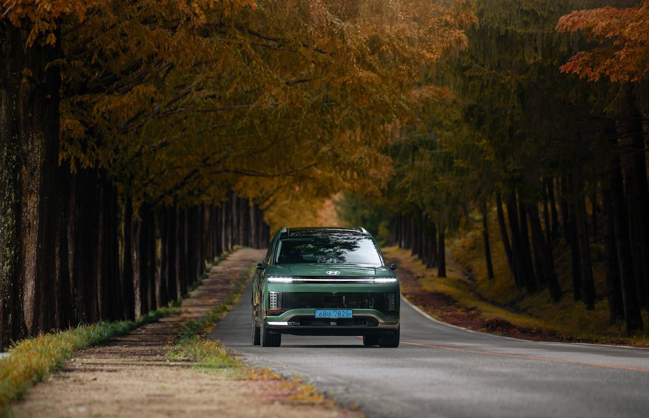Coche híbrido por camino boscoso