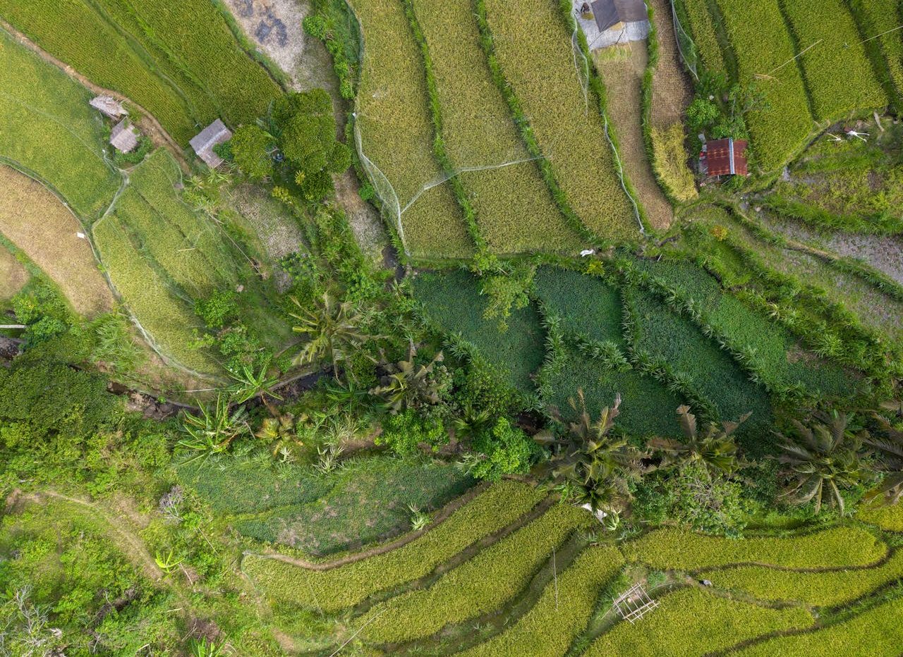 vista aérea de explotación agrícola