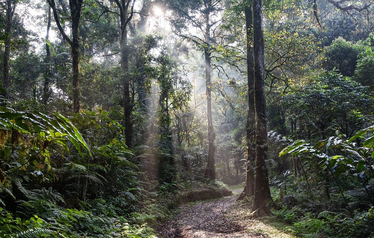 Medio ambiente