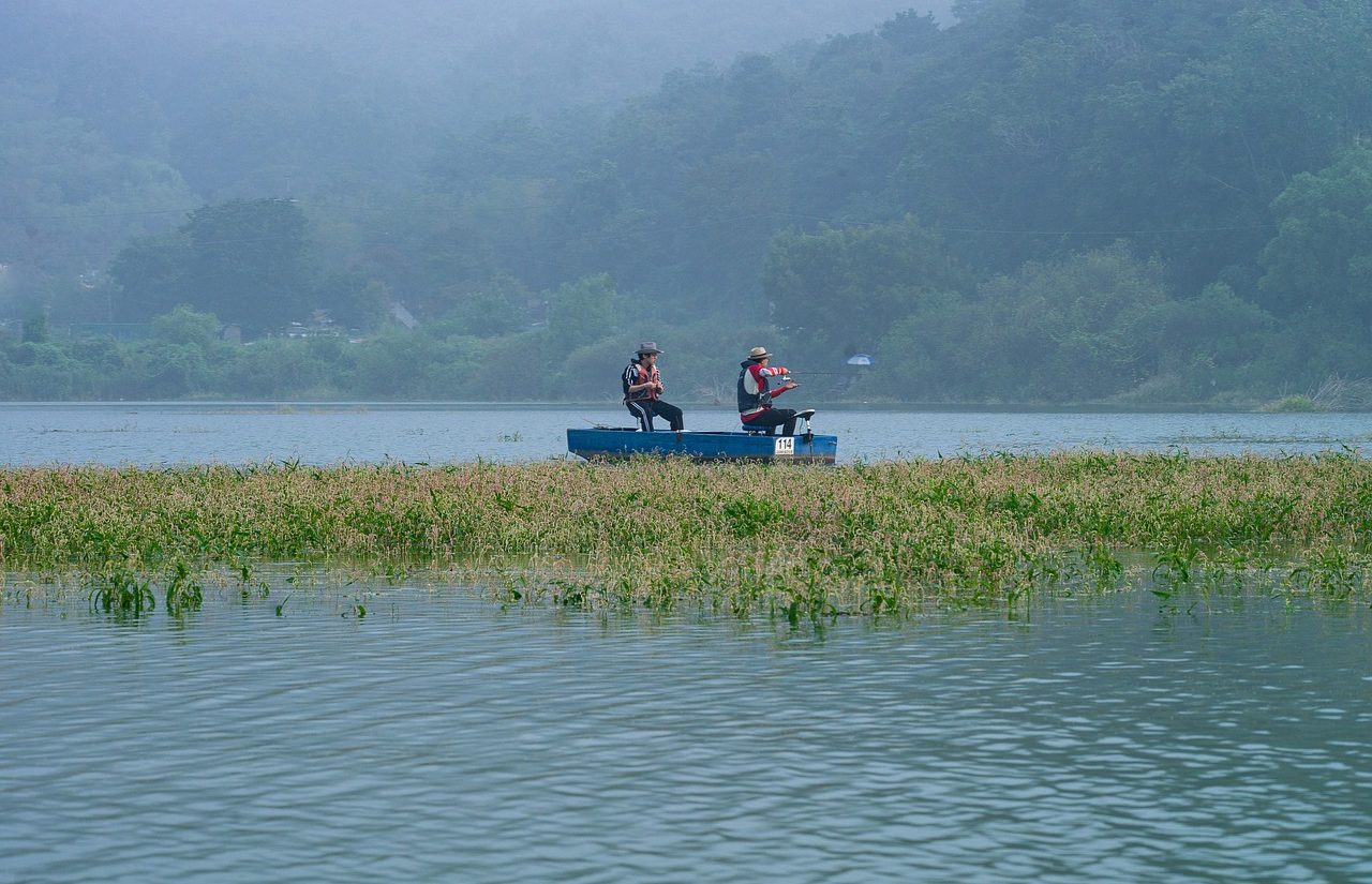 Biodiversidad